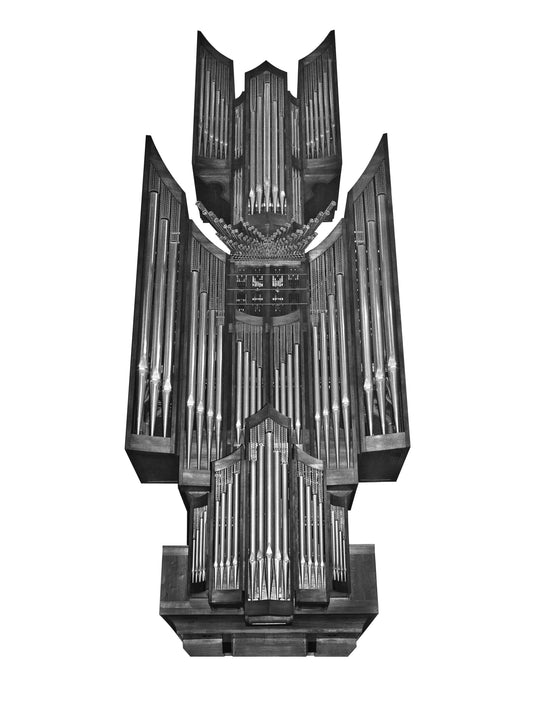 ORGAN poster